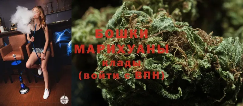 купить закладку  Иннополис  Марихуана SATIVA & INDICA 